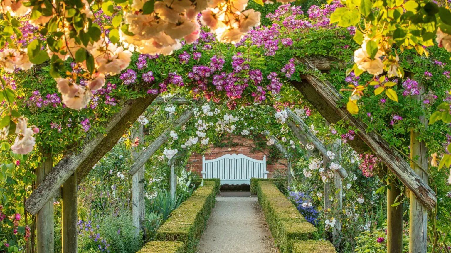 Clock Barn Hampshire activities rose garden walkway mottisfont hampshire